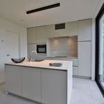 Rent 3 bedroom house of 123 m² in Oosterzele