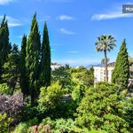 Rent 1 bedroom apartment of 36 m² in Cannes