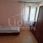 Najam 4 spavaće sobe stan od 110 m² u Primorsko-goranska