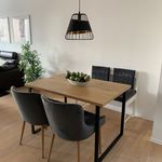 Rent 1 bedroom apartment of 60 m² in Frankfurt