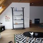 Miete 2 Schlafzimmer wohnung von 55 m² in Braunschweig