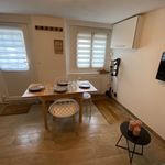 Rent 2 bedroom apartment of 50 m² in Rouen