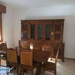 Rent 5 bedroom house of 125 m² in Bologna