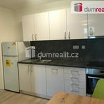 Rent 1 bedroom apartment of 33 m² in Opava