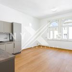 Rent 2 bedroom apartment of 47 m² in Praha