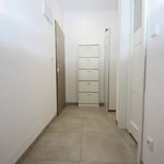 Rent 2 bedroom apartment of 45 m² in Kolin