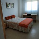 Alquilar 4 dormitorio apartamento en Huelva