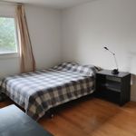 Rent 4 bedroom house in Markham