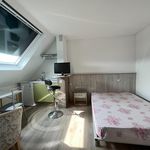 Rent 1 bedroom apartment of 20 m² in Onet-le-Château