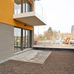 Miete 3 Schlafzimmer wohnung von 94 m² in Dresden