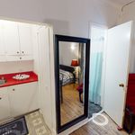1 bedroom apartment of 204 sq. ft in Montréal