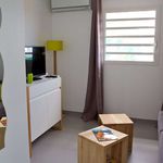 Rent 3 bedroom house of 50 m² in Les Trois-Îlets