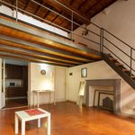 Rent 1 bedroom apartment in Firenze