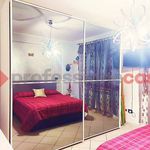 Rent 3 bedroom apartment of 90 m² in Piedimonte San Germano