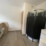 Rent 1 bedroom apartment of 10 m² in CroixT