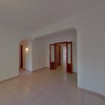 Rent 4 bedroom apartment of 110 m² in Palma