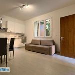 Rent 2 bedroom apartment of 55 m² in Bologna