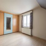 Huur 3 slaapkamer huis van 1169 m² in Sint-Gillis-Waas