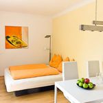 Rent 1 bedroom apartment of 30 m² in Mödling