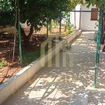 Rent 1 bedroom house of 40 m² in Municipal Unit of Akrata