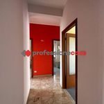 Rent 4 bedroom apartment of 150 m² in Campobasso