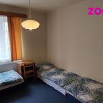 Rent 3 bedroom apartment of 60 m² in Písek