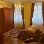 Rent 3 bedroom apartment of 110 m² in Plzeň