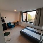 Louez une chambre de 16 m² à Leuven