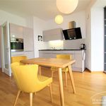 Rent 2 bedroom apartment of 50 m² in Dresden