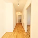 Rent 2 bedroom apartment of 64 m² in Sankt Pölten