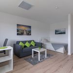 Rent 1 bedroom apartment of 44 m² in Bad Homburg vor der Höhe