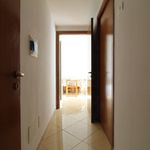 Rent 1 bedroom apartment of 40 m² in Casagiove