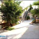 Rent 2 bedroom house of 38 m² in Palermo