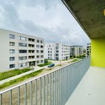 Rent 2 bedroom apartment of 60 m² in Chrudim