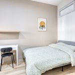 Louez une chambre de 130 m² à Lille
