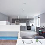 Rent 4 bedroom student apartment in Brighton