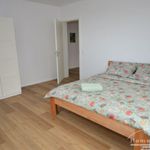 Rent 5 bedroom apartment of 170 m² in Bremen