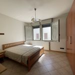 Rent 1 bedroom apartment of 45 m² in Suzzara