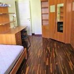 Affitto 1 camera appartamento in Mentana