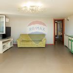 Affitto 6 camera appartamento di 150 m² in Catania