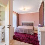 Rent 5 bedroom house of 200 m² in Dronten