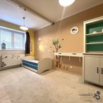 Rent 4 bedroom apartment in Pardubice