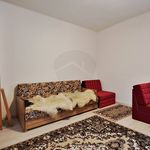 Rent 1 bedroom apartment of 45 m² in Kecskemét