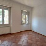Rent 5 bedroom apartment of 100 m² in Firenze