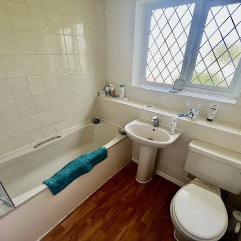Detached house to rent in South Vale, Northallerton DL6