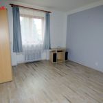 Rent 1 bedroom apartment of 31 m² in Praha