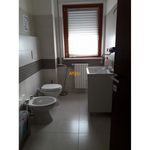 Affitto 2 camera appartamento di 100 m² in L'Aquila