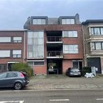 Rent 1 bedroom apartment in Edegem