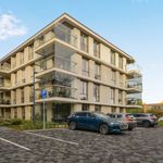 Rent 2 bedroom apartment of 72 m² in Amstelveen