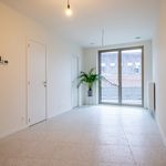 Rent 1 bedroom apartment of 507 m² in Antwerpen